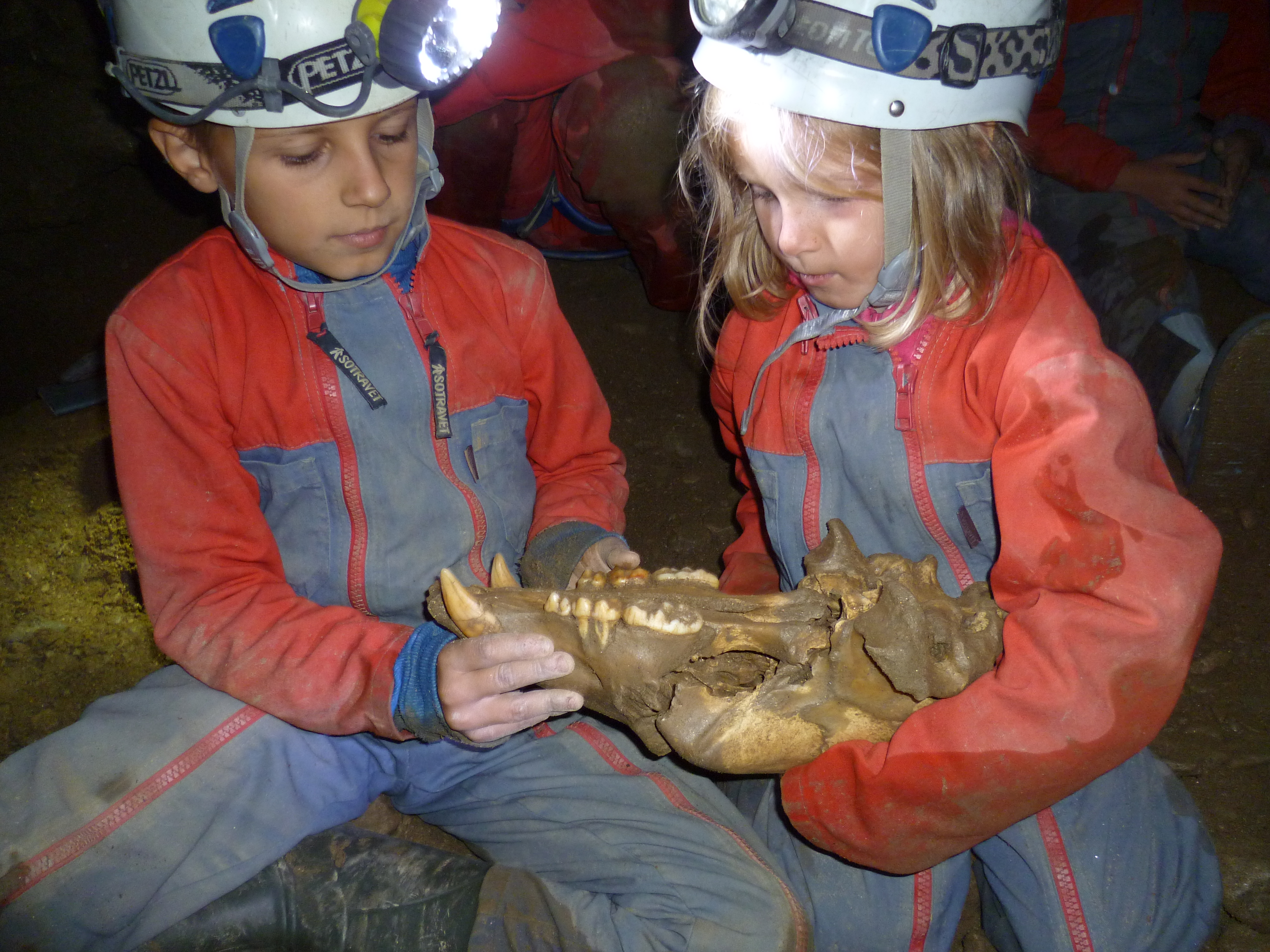 Apprentis spéléologue avec une mâchoire d'ours